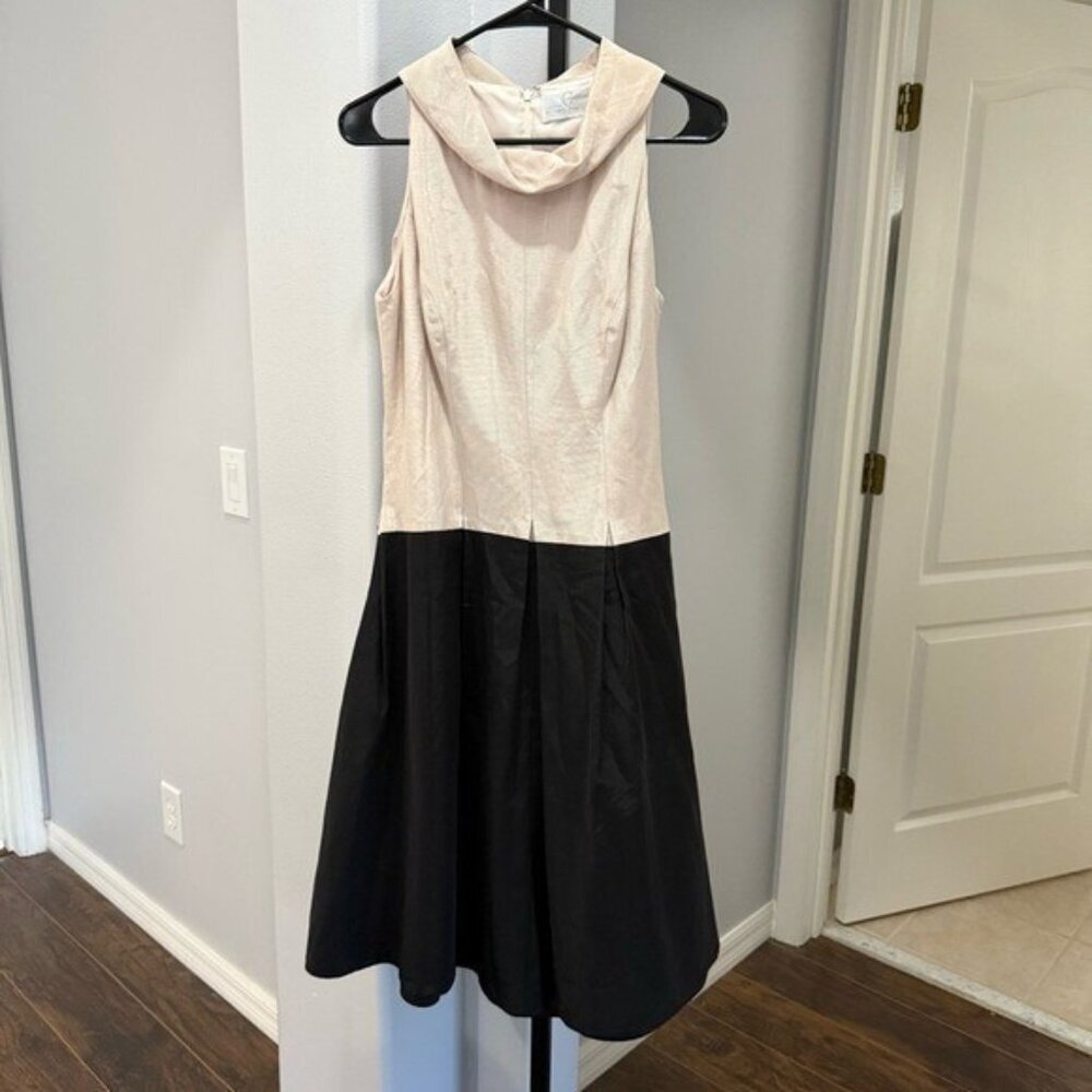 Carol Peretz Sleeveless Mock Neck A Line Black Pink Dress Size 6 Vintage Vtg •